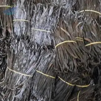 Vanilla Beans