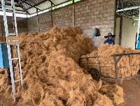 Coir / Cocofiber / Coconut Fibre