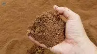 Palm Kernel Expeller
