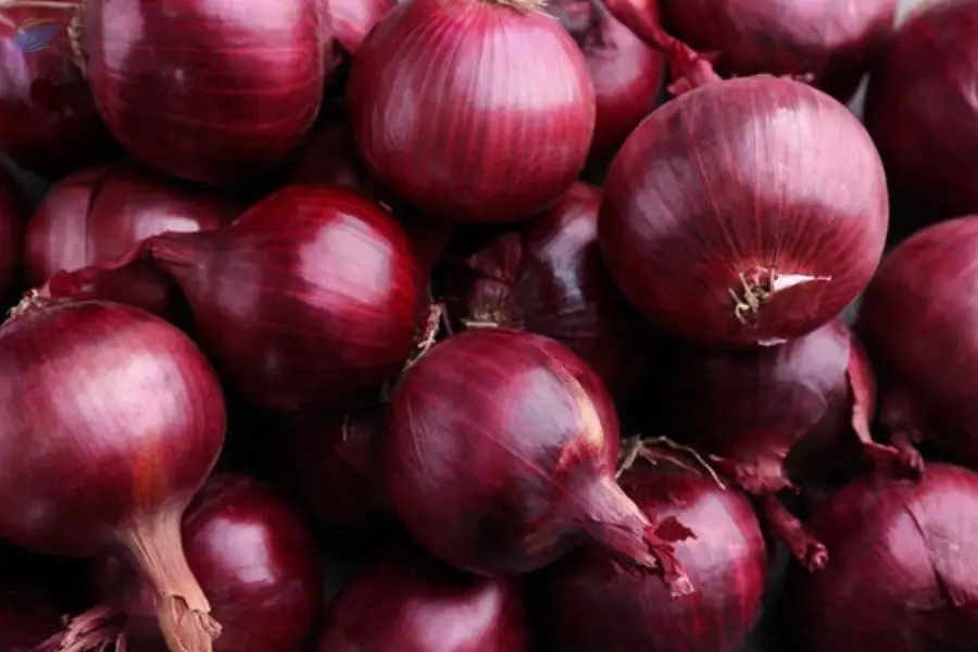 Red Onions
