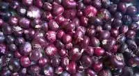 Rose Onion