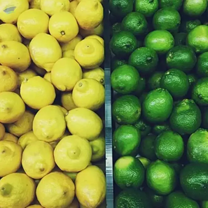 Lemon