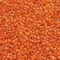 Split Red Lentis - Masoor Dal