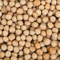 White Peas - White Vatana