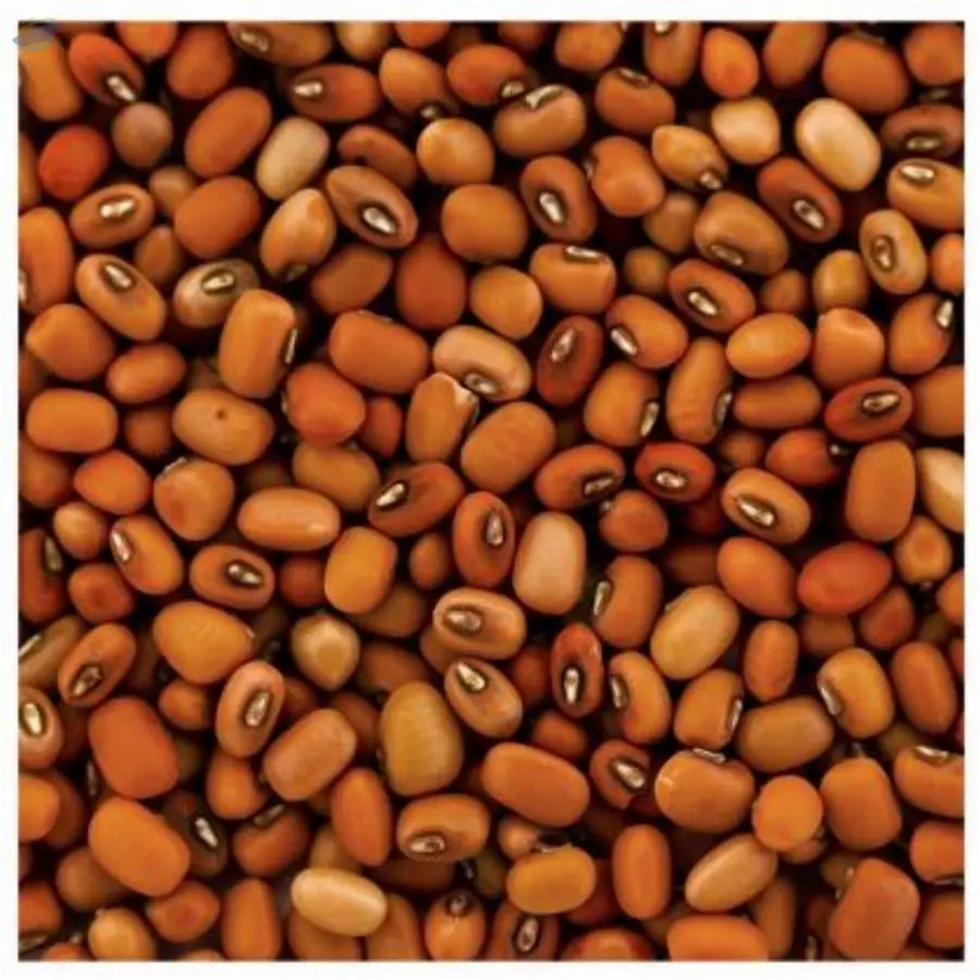 Adzuki Beans-Red Chawli