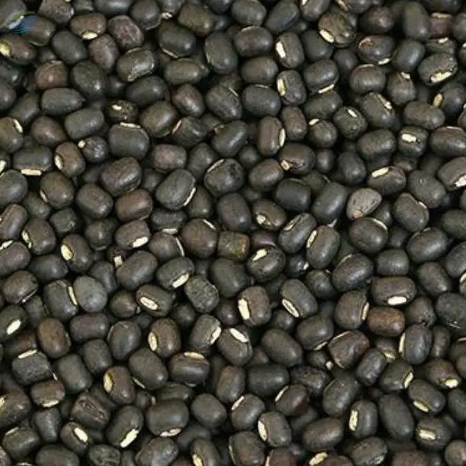 Black Gram Beans (Sabut Urad)