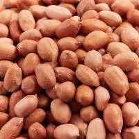 Peanut Kernels (Peanut)
