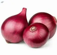 Fresh Onion