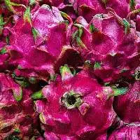 Dragon Fruit
