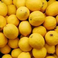 Lemon