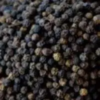 Pepper