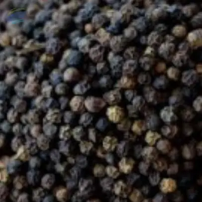 Pepper