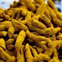 Turmeric