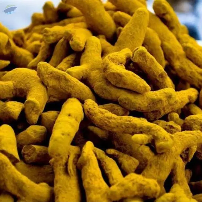 Turmeric