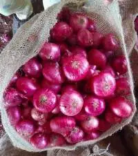 Indian Red Onion