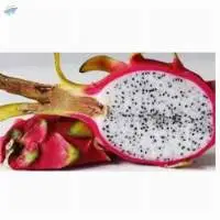 Dragon Fruit