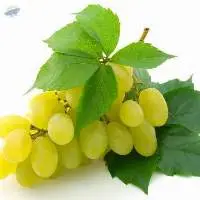 Grapes