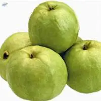 Guava