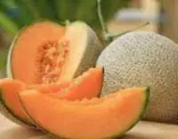 Muskmelon