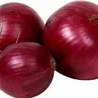 Indian Red Onion