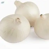 Indian White Onion