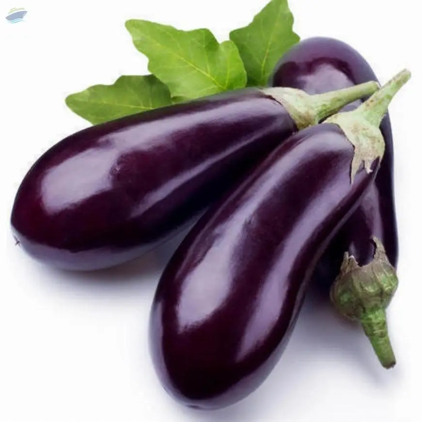 Brinjal