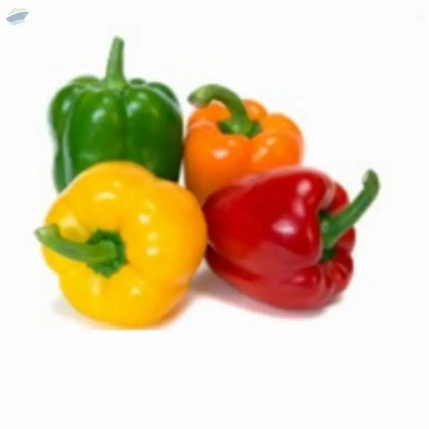 Capsicum