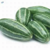 Pointed Gourd  (Parwal)