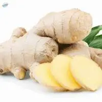 Ginger