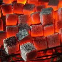 Coco Briquette