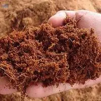 Coco Peat