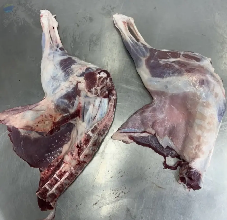 Frozen Goat Meat