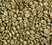Green Coffee Beans Arabica