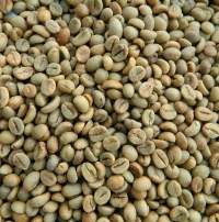 Green Coffee Beans Robusta