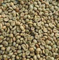 Green Coffee Beans Robusta