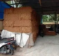 Coco Fiber Grade A