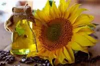 Sunflower Oil