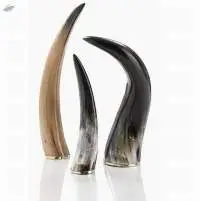 Buffalo Horn