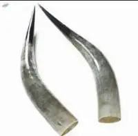 Home Decoration Horn Buffalo Horn