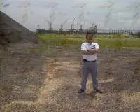 Palm Kernel Shell