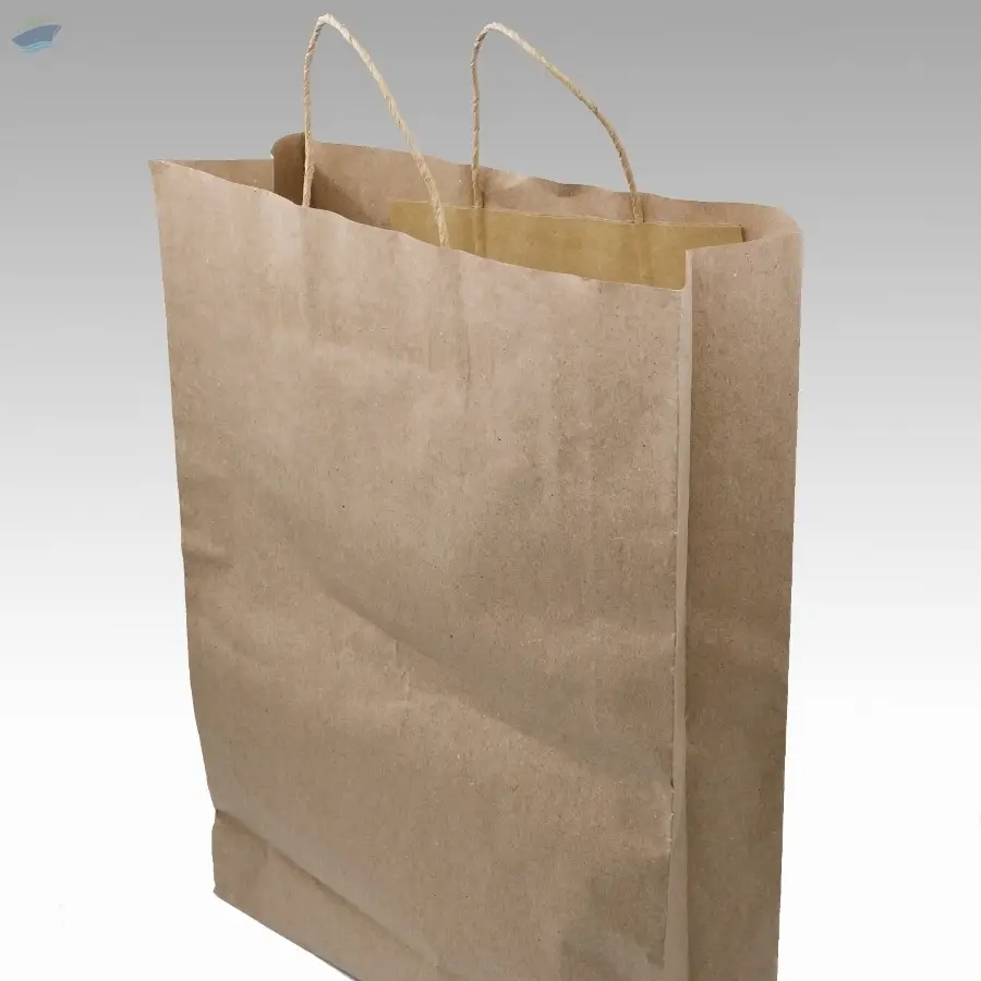 Paper Bags