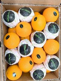 Fresh Citrus