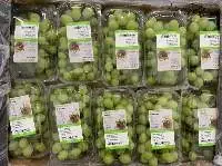 Grapes