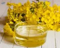Refined Sunflower Corn Rapeseed  UK Europe Spain