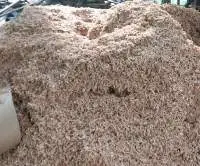 Sawdust Powder