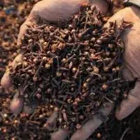 Cloves