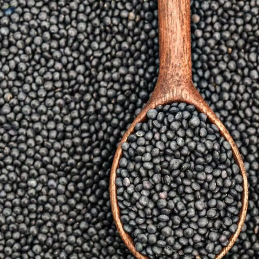 Black Gram (Urad Dal)