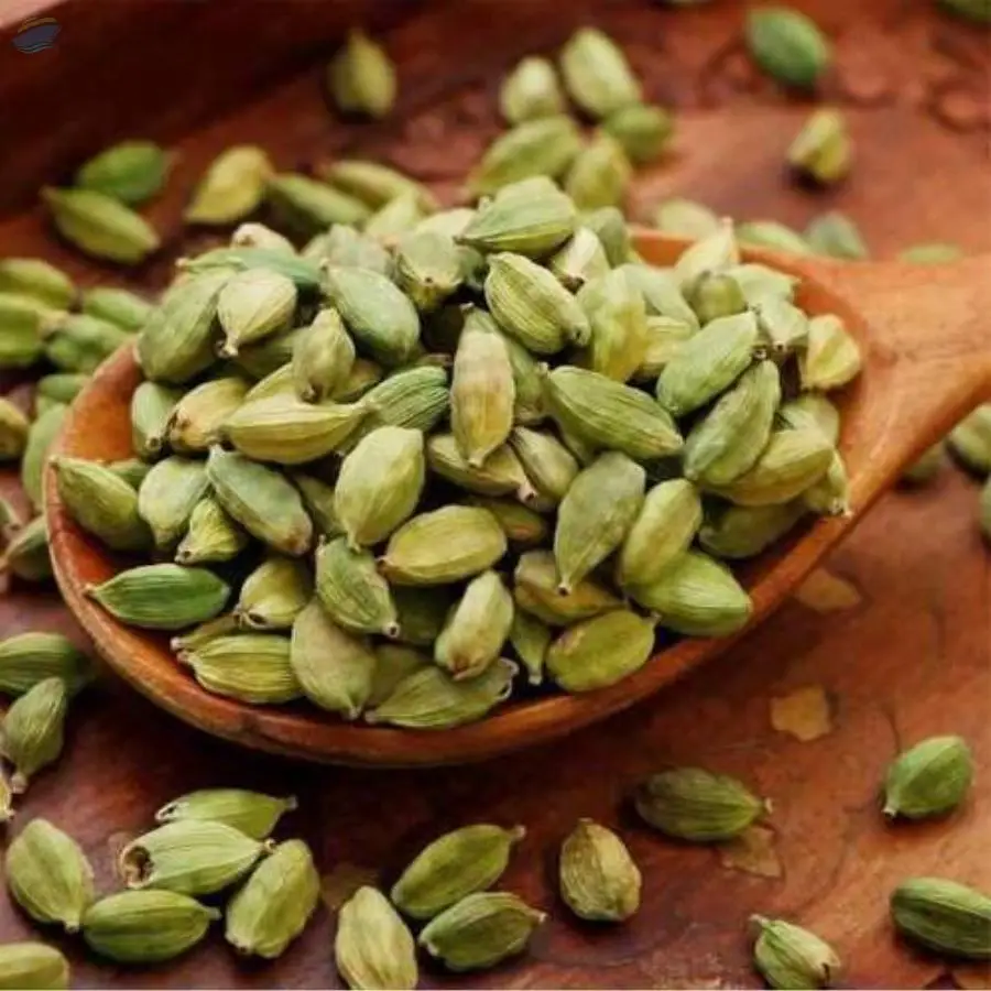 Cardamom