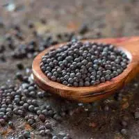 Mustard Seeds