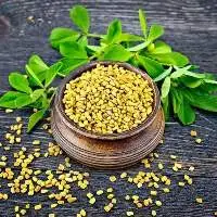 Fenugreek Seeds